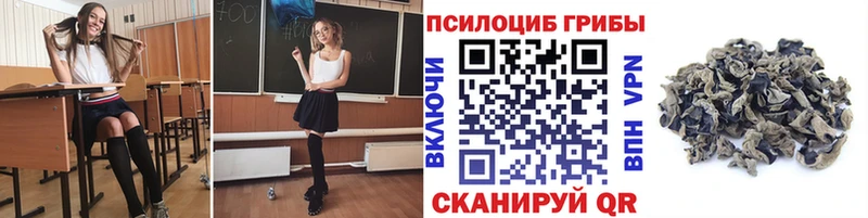 Псилоцибиновые грибы Cubensis  hydra зеркало  Усть-Илимск 